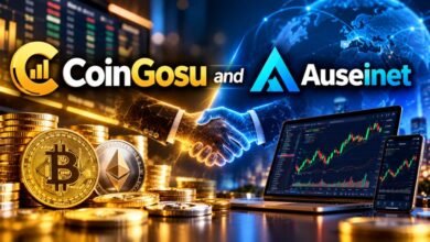 CoinGosu and Auseinet
